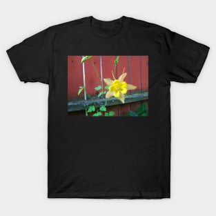 Columbine and Fence T-Shirt